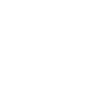 Icon Logo