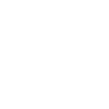 Icon Logo