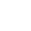 Icon Logo