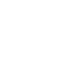 Icon Logo
